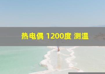 热电偶 1200度 测温